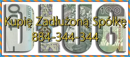 Skup zadłużonych spółek pomoc w odbudowie twojego biznesu Skup zadłużonych spółek pomoc w odbudowie twojego biznesu