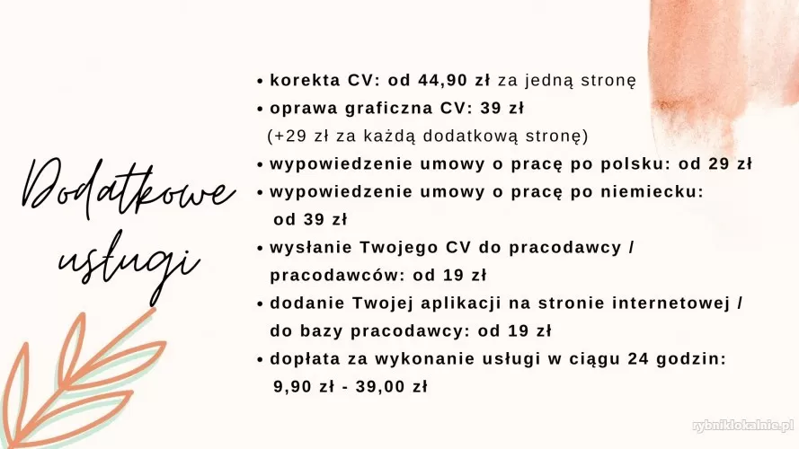 pisanie-cv-i-lm-24-48-h-cala-polska-89-zl-extra-bonus-48166-rybnik-na-sprzedaz.webp