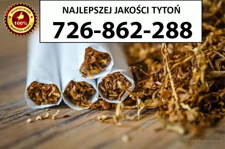 Znakomitej jakości TYTOŃ 75PLN/1KG