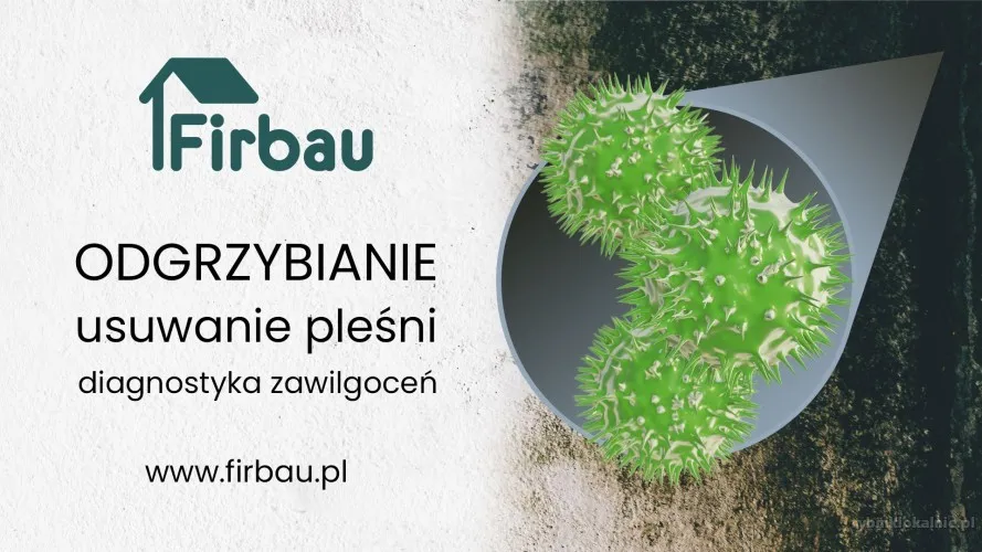 ODGRZYBIANIE USUWANIE PLEŚNI W BUDYNKACH