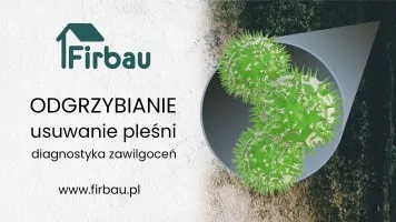 ODGRZYBIANIE ŚCIAN USUWANIE PLEŚNI