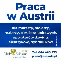 Cieśla Szalunkowy Austria Nowe Wyższe Stawki Cieśla Szalunkowy Austria Nowe Wyższe Stawki