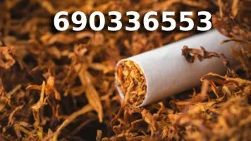 Bardzo Dobrej Jakości TYTOŃ 85 PLN/1KG