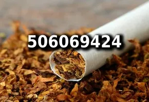 Bardzo Dobrej Jakości tani TYTOŃ na wagę 90 PLN/1KG