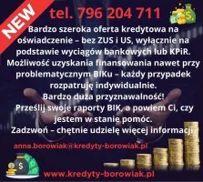 KREDYT DLA FIRM I OSÓB FIZYCZNYCH. DUŻA PRZYZNAWALNOŚĆ I SZEROKA OFERTA!