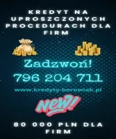 KREDYT DLA FIRM DO 80 000 PLN NAWET PRZY STRACIE!