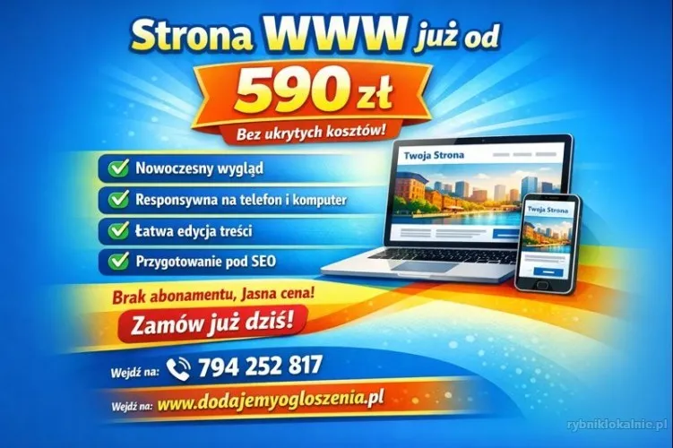 1-_projektowanie-stron-www-tanio-590-zl-bez-abonamentu_(5).webp