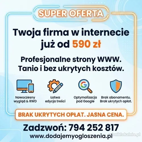 projektowanie-stron-www-tanio-590-zl-bez-abonamentu_(2).webp