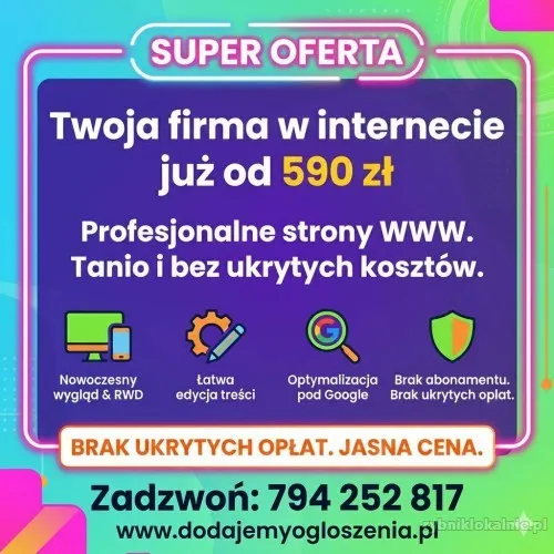 projektowanie-stron-www-tanio-590-zl-bez-abonamentu_(4).webp