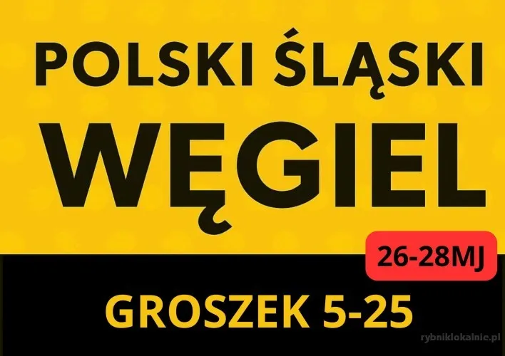 POLSKI_ŚLĄSKI_WĘGIEL_(2).webp