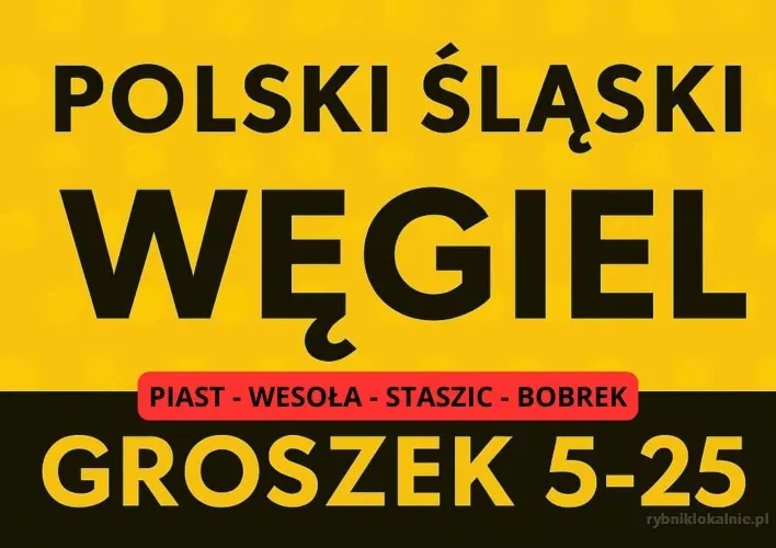POLSKI_ŚLĄSKI_WĘGIEL_(3).webp