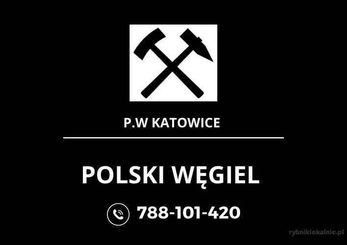 1_węgiel_groszek,_groszek_26_MJ,_węgiel_groszek_5-25_mm_(3).webp