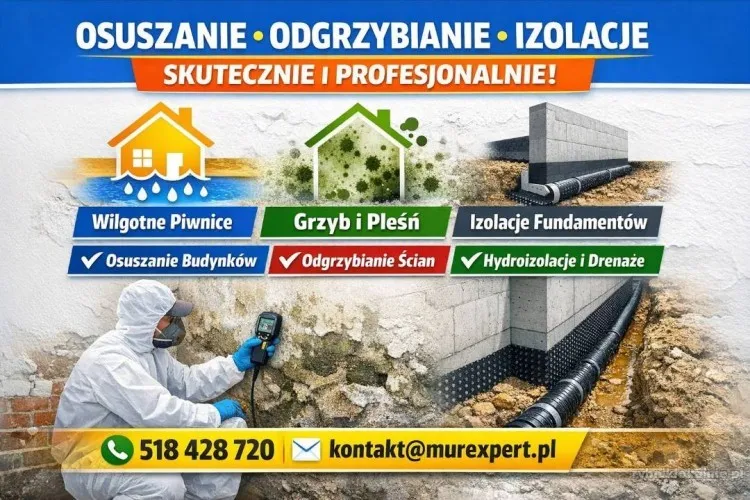 2_Profesjonalne_osuszanie_budynków_piwnic_odgrzybianie_izolacje_fundamentów_-_skuteczne_rozwiązania_dla_Twojego_domu_—_kopia.webp